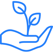 Eco-friendly cleaning products in Edmonton
